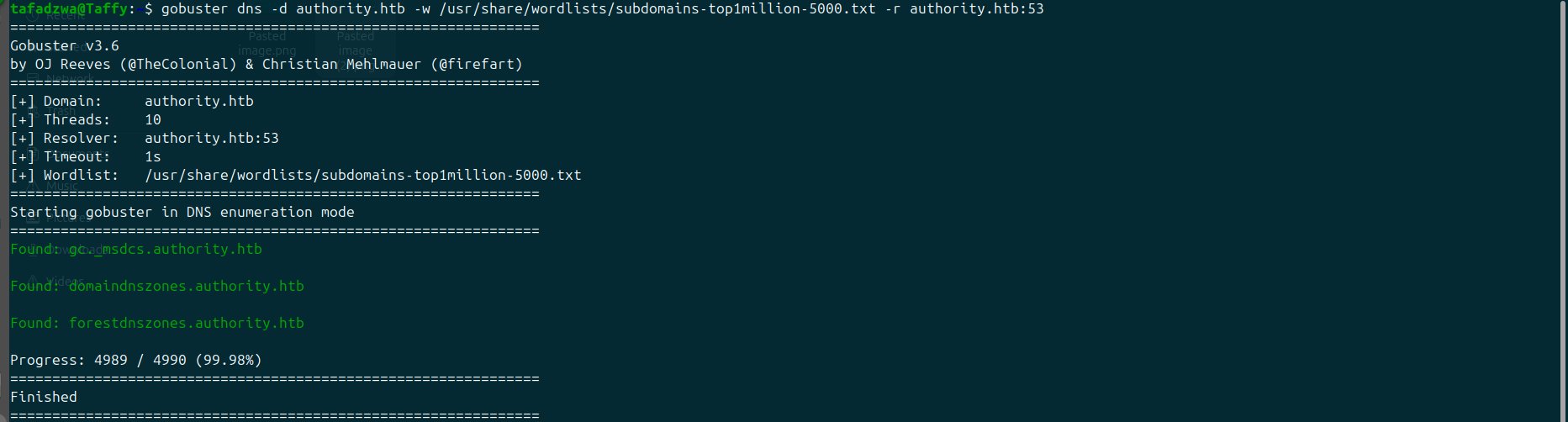 Gobuster DNS — only AD-integrated zones