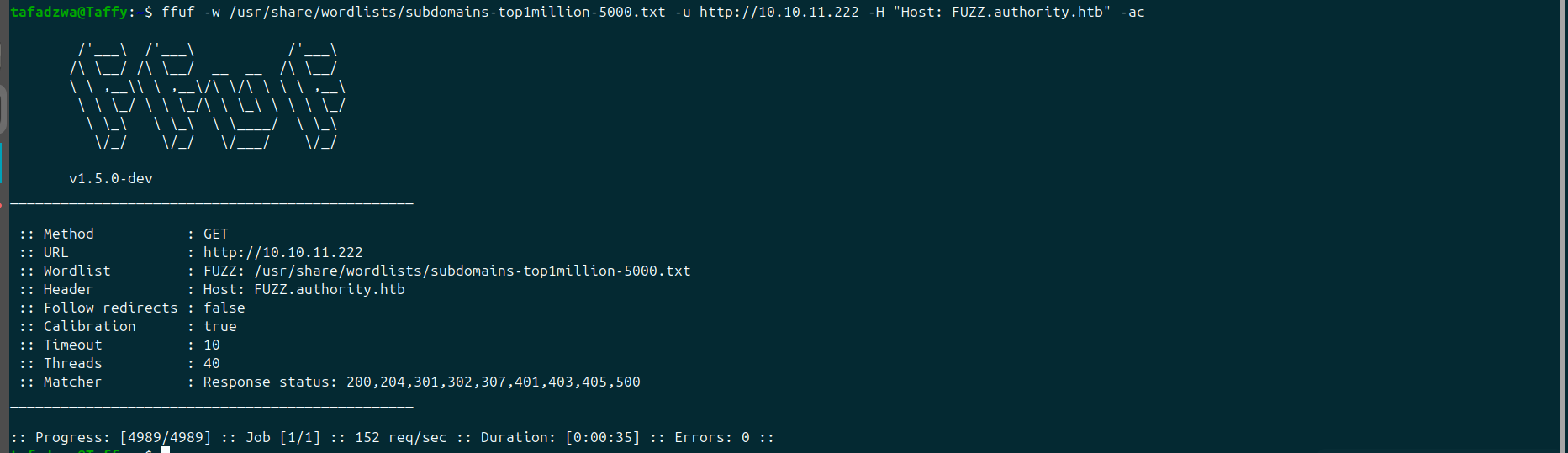 FFUF VHOST scan — no results