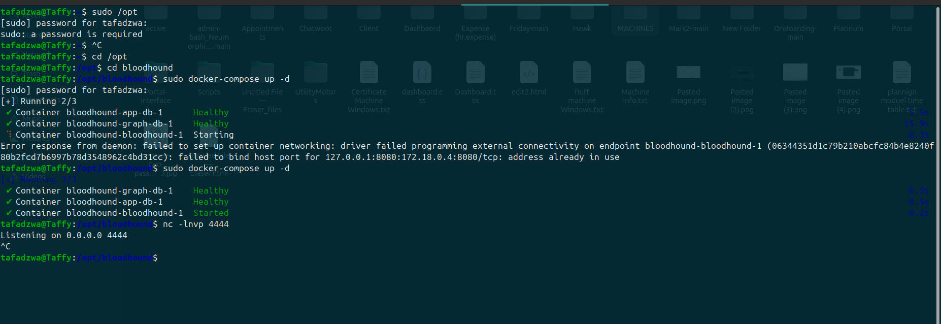 Custom Python listener catches the LDAP bind in cleartext